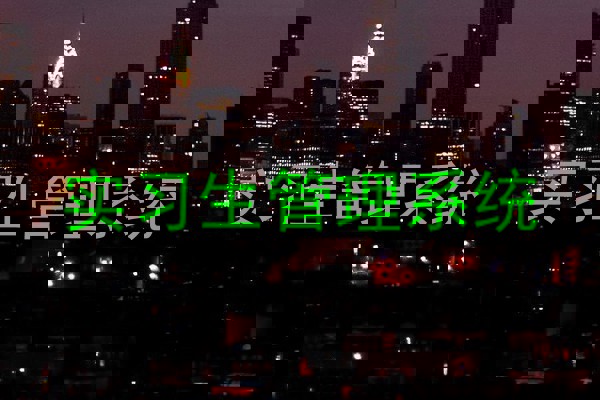 实习生管理系统
