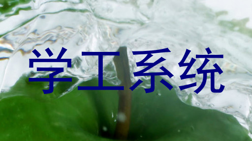 学工系统
