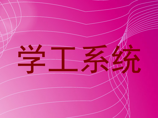 学工系统