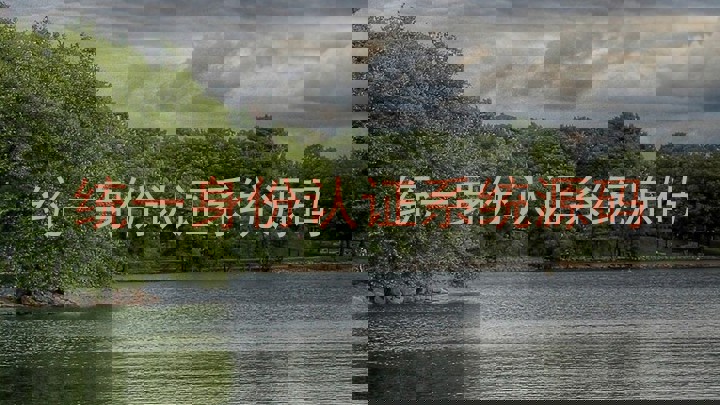 统一身份认证系统源码