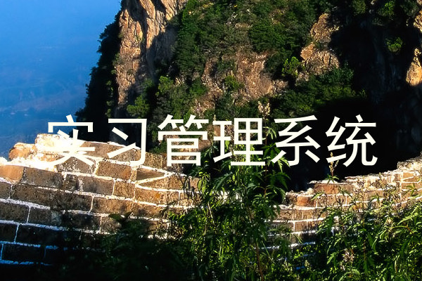 实习管理系统