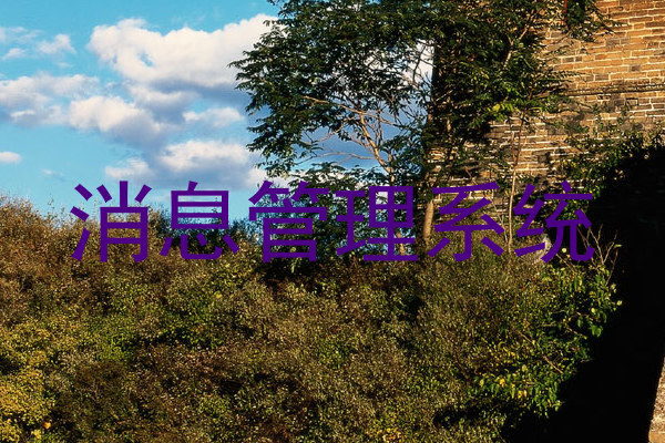 消息管理系统