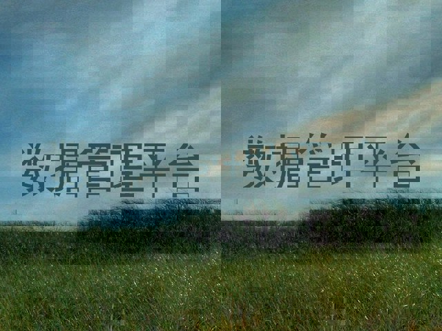 数据管理平台