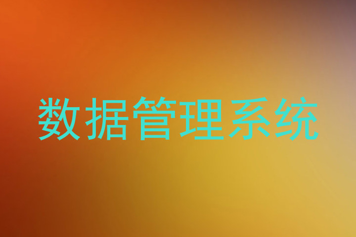 数据管理系统