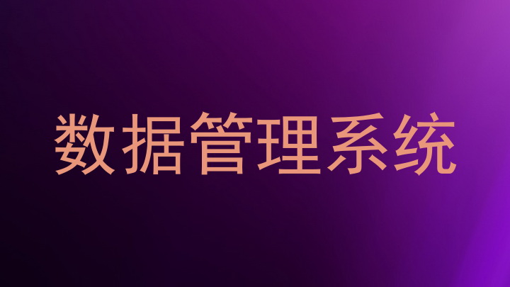 数据管理系统
