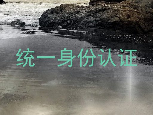 统一身份认证