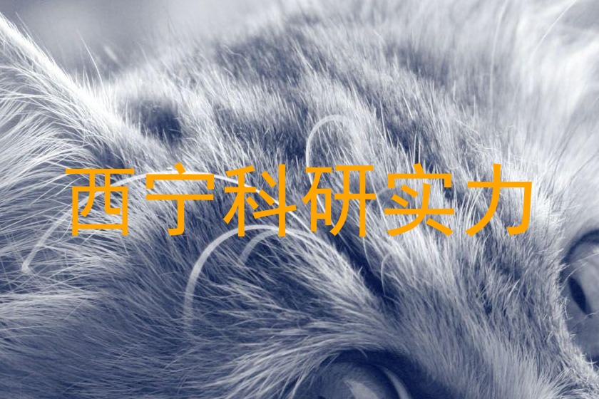 西宁科研实力