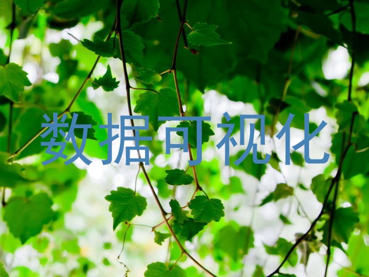 数据可视化