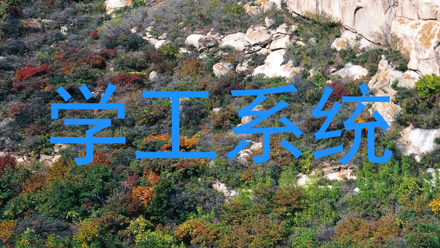 学工系统
