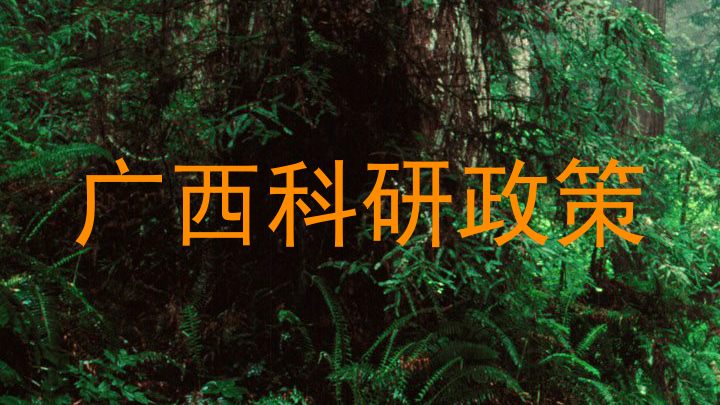 广西科研政策