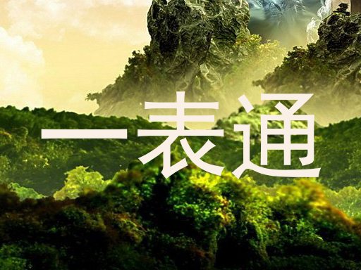 一表通