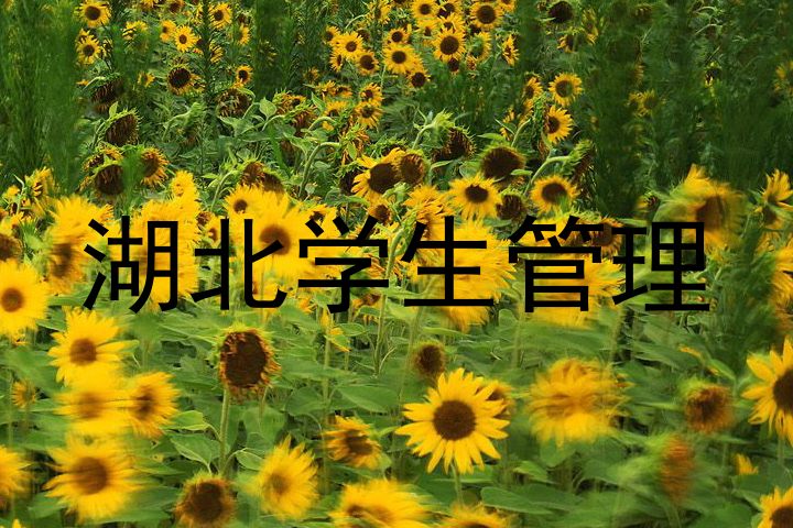 湖北学生管理