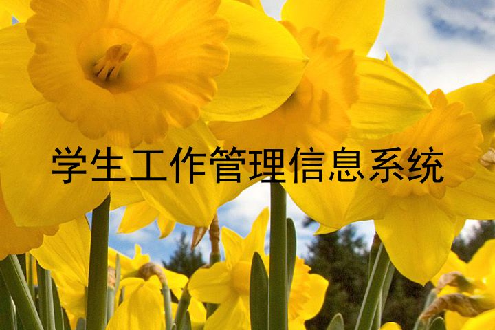 学生工作管理信息系统