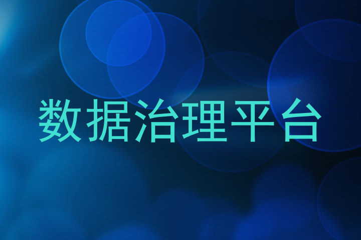数据治理平台