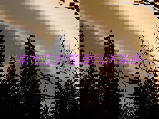 学生工作管理信息系统