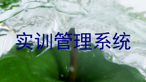 实训管理系统