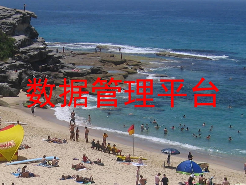 数据管理平台