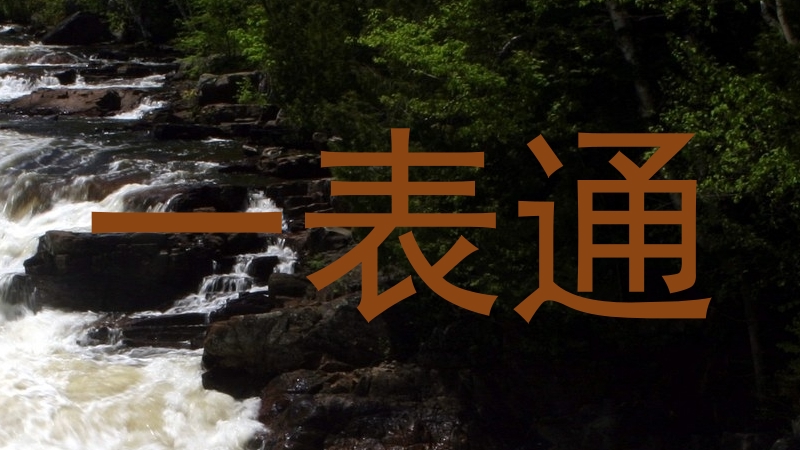 一表通