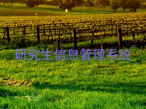 研究生信息管理系统