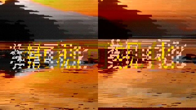 数据可视化