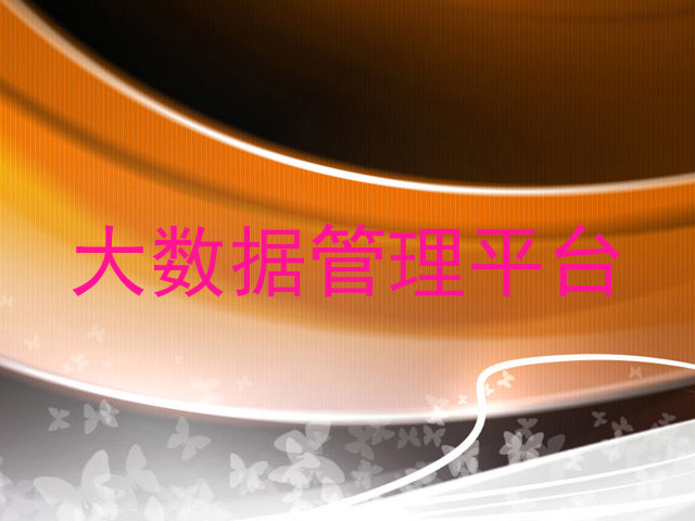 大数据管理平台