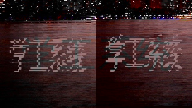 学工系统