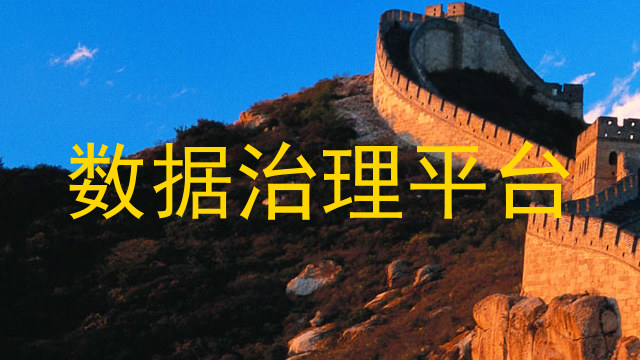 数据治理平台