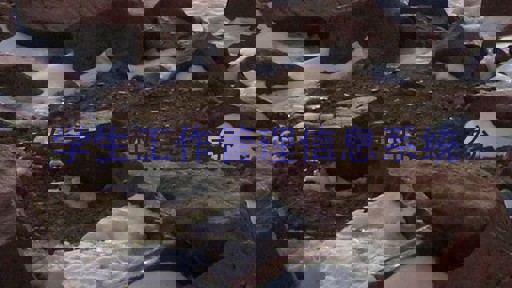 学生工作管理信息系统