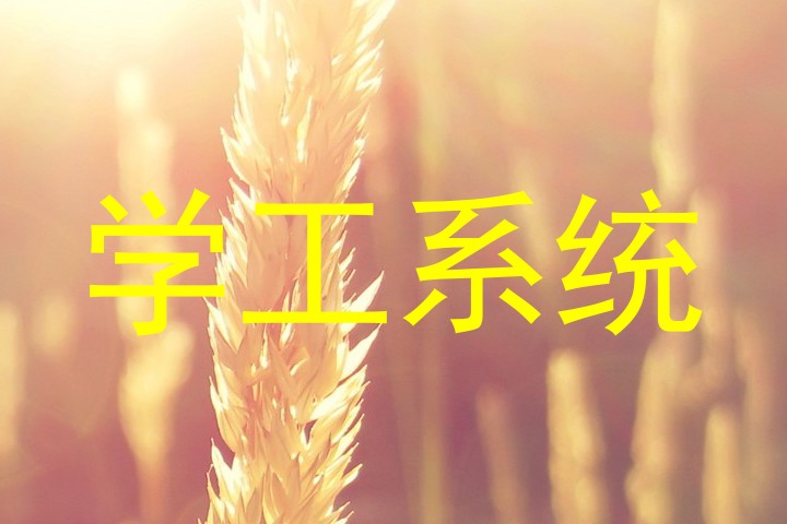 学工系统