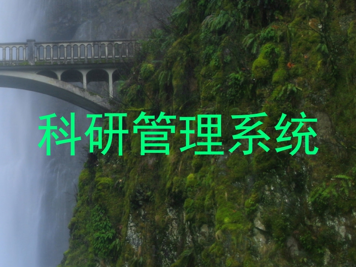 科研管理系统