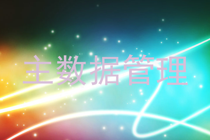 主数据管理