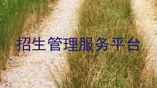 招生管理服务平台