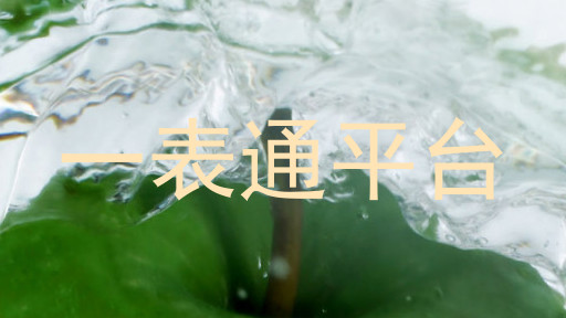 一表通平台