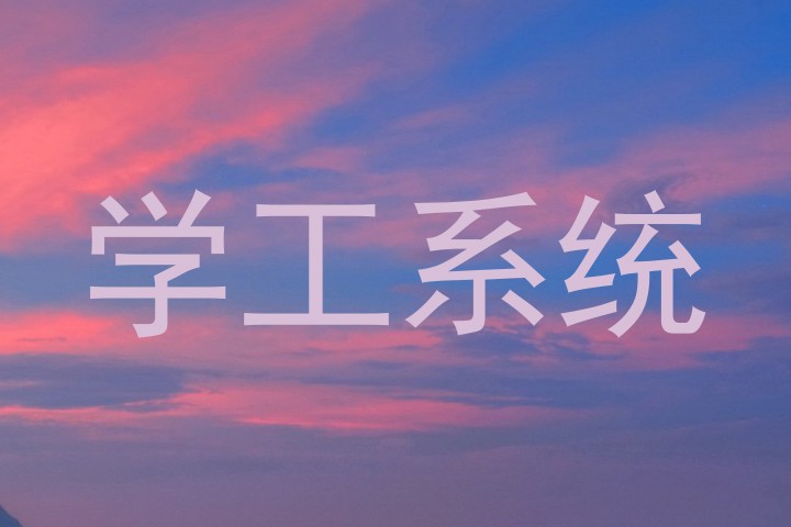 学工系统