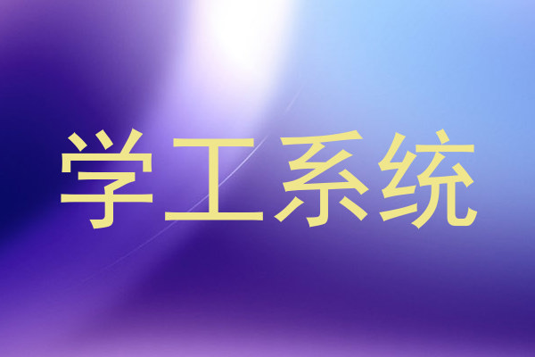 学工系统