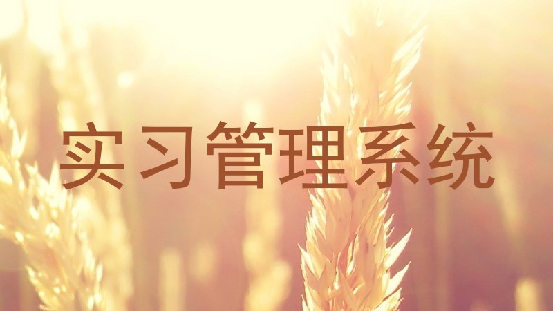实习管理系统