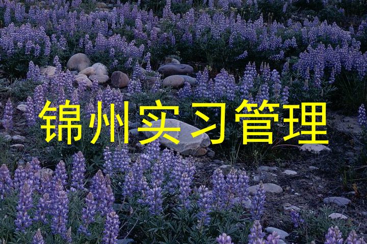 锦州实习管理