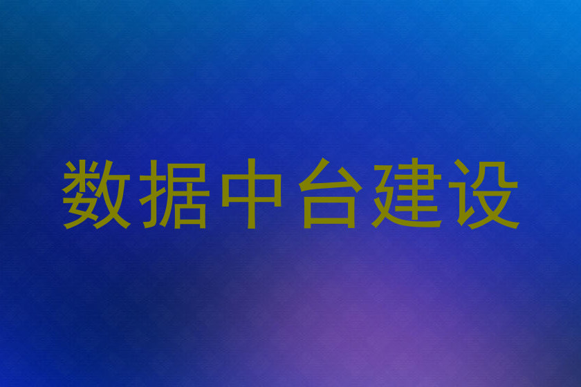 数据中台建设