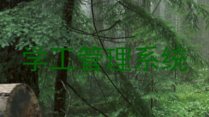 学工管理系统