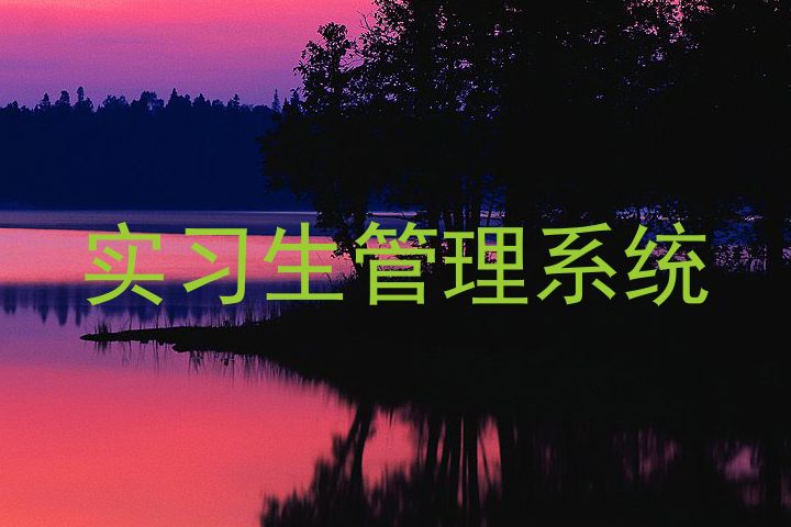 实习生管理系统