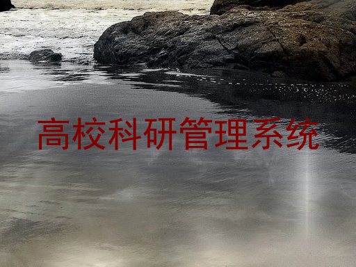 高校科研管理系统