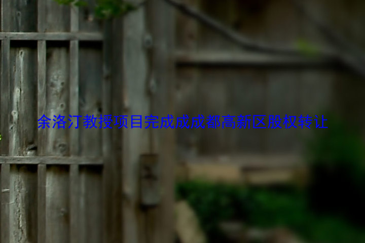 余洛汀教授项目完成成成都高新区股权转让