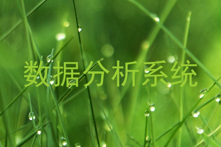 数据分析系统