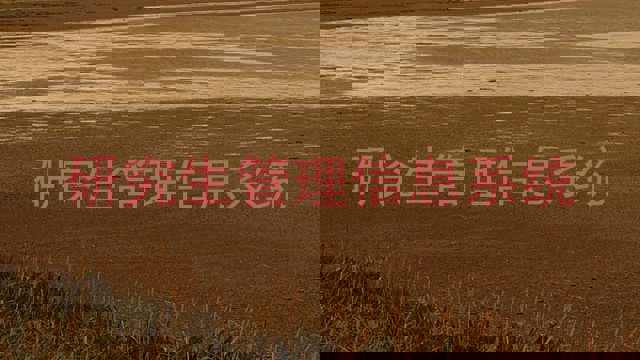研究生管理信息系统