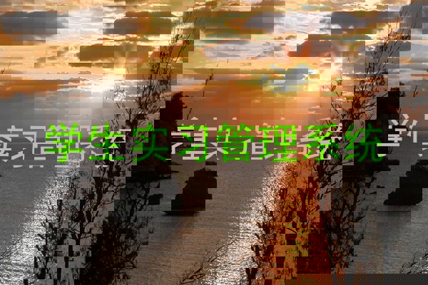 学生实习管理系统