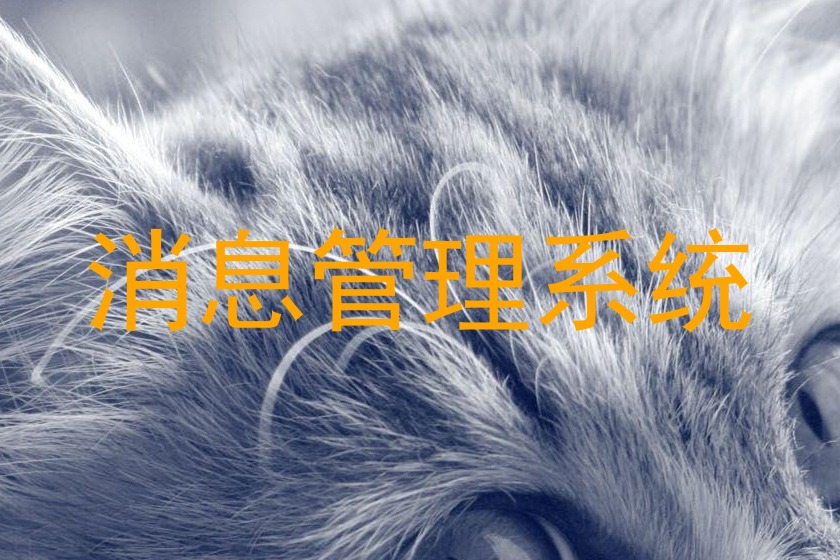 消息管理系統(tǒng)