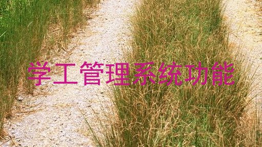 学工管理系统功能