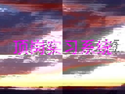 顶岗实习系统