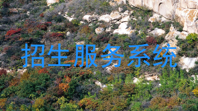招生服务系统