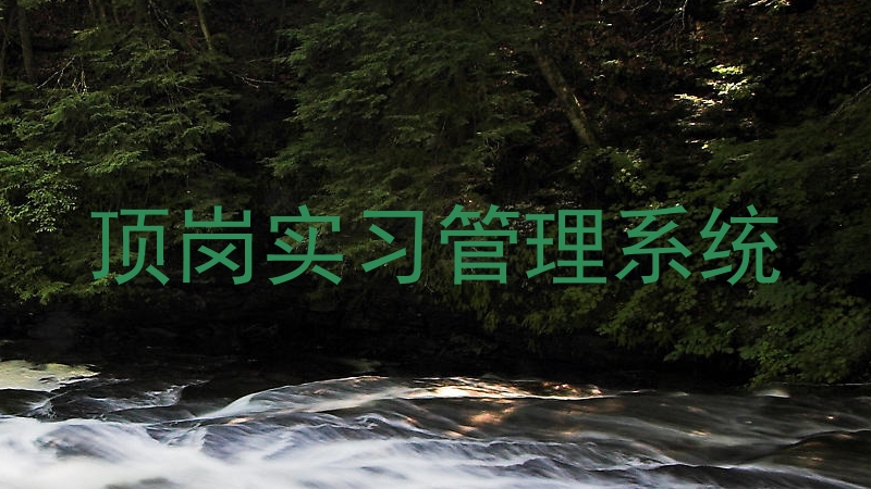 顶岗实习管理系统